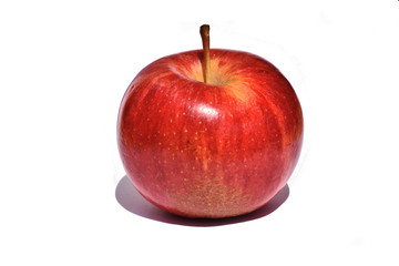 Red apple fruit on white background
