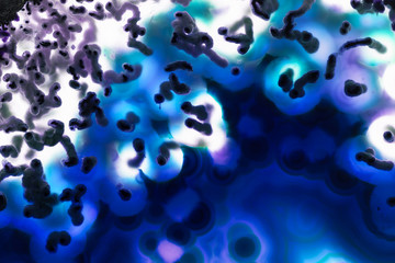 Abstract background, blue agate mineral cross section