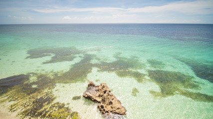 The tropical coast of the island of Bohol with corals. Philippines.