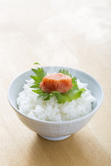 Mentaiko of traditional Japanese ingredients