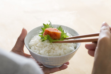 Mentaiko of traditional Japanese ingredients