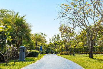 Walkway in park. Landscape with jogging track and bicycle lane.
