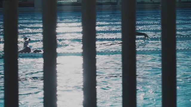 Slow motion panning shot of professional athletes training in swimming pool, swim the breaststroke style, morning workout for healthy lifestyle, gym membership sport activity