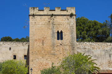 Fototapeta na wymiar Castillo de Denia in Spain