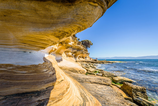 Amazing coast line called Painted Cliffs with orange yellow colored sand limestone rocks and geology structures at shore, perfect expedition on warm sunny clear day, Maria Island, Tasmania, Australia