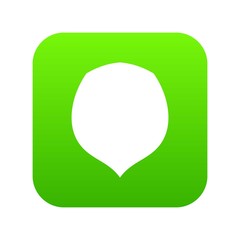 Hazelnut icon digital green for any design isolated on white vector illustration