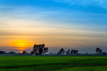Sunset / sunrise with clouds, light rays on field at countryside 