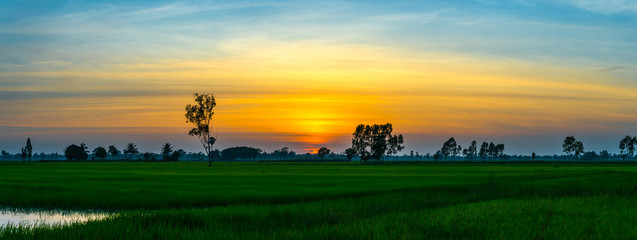 Naklejka na ściany i meble Sunset / sunrise with clouds, light rays on field at countryside 