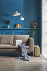 blue wall grey sofa interior decoration.