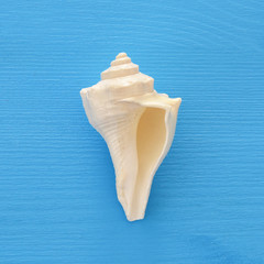 vacation and summer image with seashell over blue wooden background.