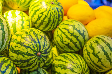 Closeup of Melon and Watermelon Bunch Placed in Boxes at Market Place.