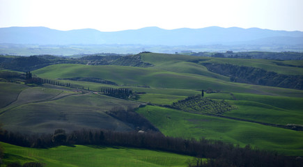 crete senesi 1