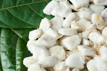 Wet natural cacao seeds