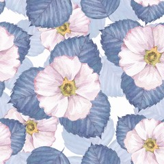 Delicate floral seamless pattern. Watercolor background with white flowers