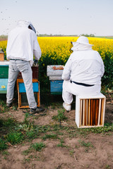 Old beekeeper rest, while young one working with bees