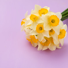 White daffodil bouquet on violet pastel background with copy space.