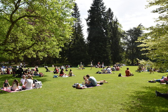 Thabor,  rennes