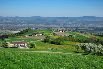 Naklejka premium Mostviertel Panorama Baumblüte