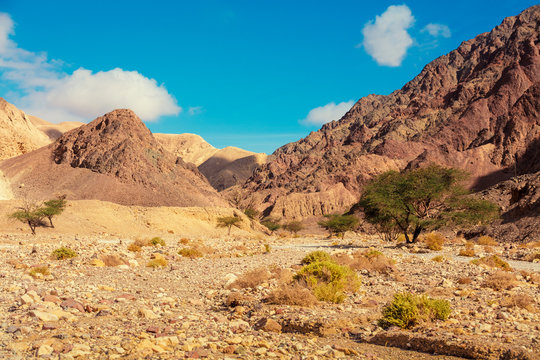 Dry river bed. Desert mountain landscape.