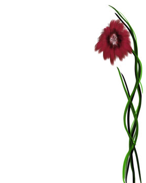 Dark Red Flower on Tall Green Stem