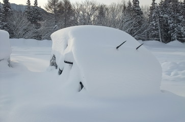 雪に埋まった自動車