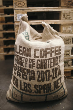 Guatemalan Coffee Beans Burlap Sack in Warehouse Storage
