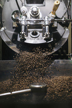 Freshly Roasted Coffee Beans Falling from Roaster Machine