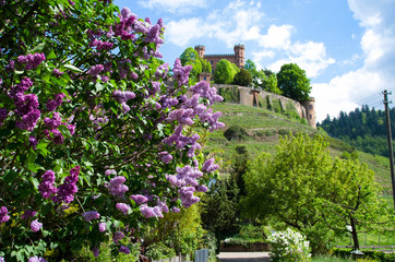 Schloss Ortenberg