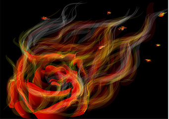 rose in fire