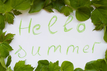 Summer lettering, summer motto. Frame of green leaves and flowers on a white background. Place for inscription