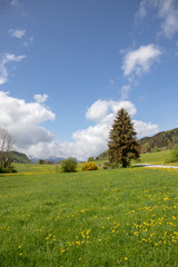 Fototapeta premium Bundespolizei Bayern