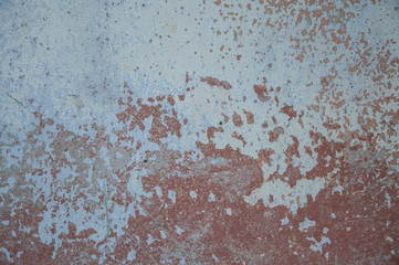 grunge texture of old wall with shabby green paint. background illustration with a small spider