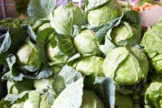 green cabbage at market