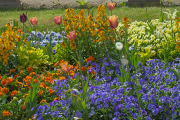 buntes blumenbeet