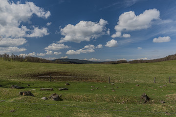 Pasture land near Horni Slavkov town