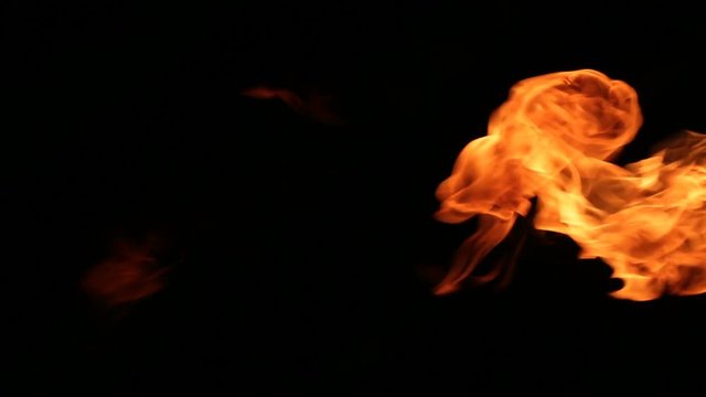 Burning flame isolated on black
