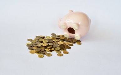 Piggy bank © Mirosaw