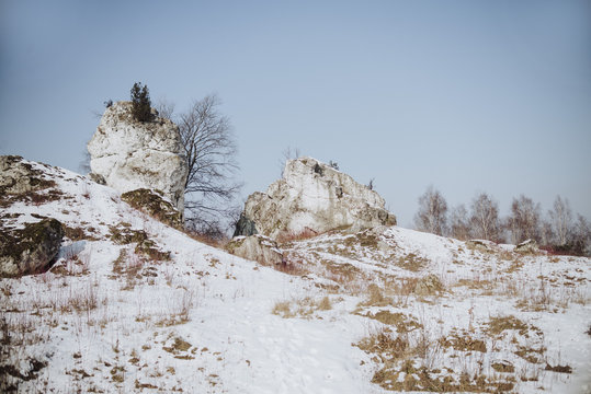 Trail of Jurassic Valleys, Jura Krakowsko Częstochowska in Poland