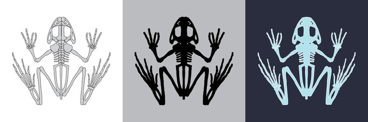 Frog icon set. Vector illustration.