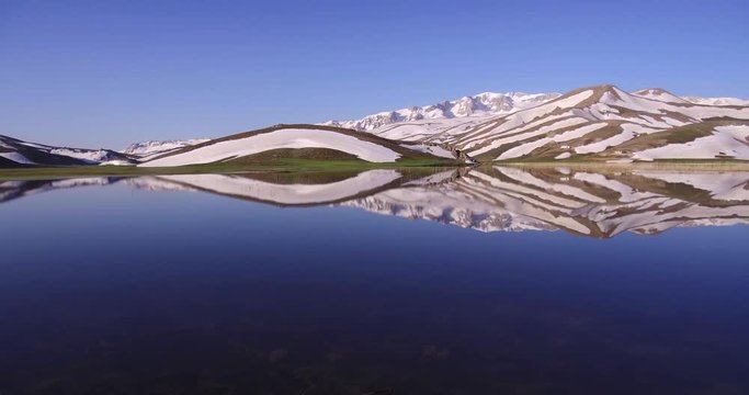 Vahşi Doğanın Muhteşem Yansıması