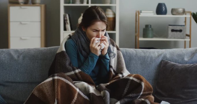 Portrait shot of the young unhealthy caucasian woman in the warm scarf and covered with a plaid caughing badly as she having a cold and fever. In the living room at home. Indoors