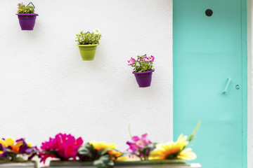 colorful pots with pretty plants on white wall with green door