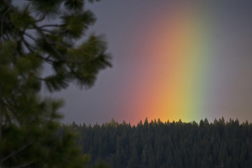 Rainbow in Truckee Tahoe