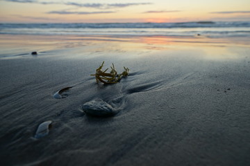 Am Nordseestrand © Dirk70