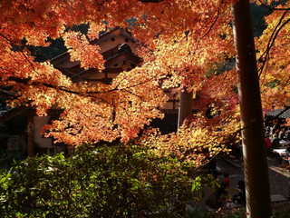 香嵐渓紅葉