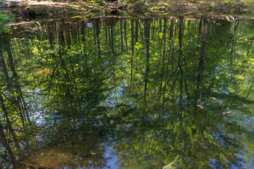 Beaver Lake in Parc Omega (Canada)