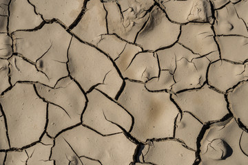Details of cracked dried mud in sunlight, texture