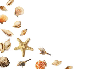 Obraz premium Composition with sea shells and starfish on white. Summer background. Flat lay, top view 