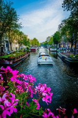 Amsterdam - Netherlands