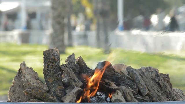 Wooden logs in a barbecue burning in a bonfire or campfire at sunset